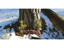 IMG 20200222 125346.jpg