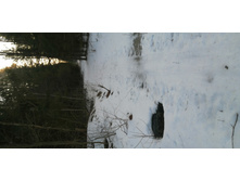 IMG 20200222 081455.jpg