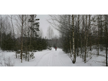 IMG 20200216 113707.jpg