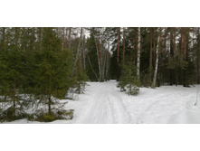 IMG 20200229 111237.jpg