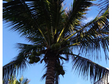 IMG 20200211 164911.jpg