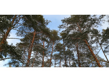 IMG 20200208 135904.jpg