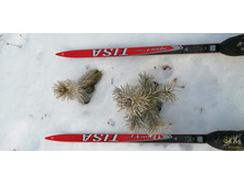 IMG 20200222 070946.jpg