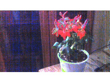 ���������� Vancuver Centinial