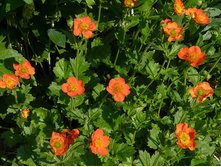 �������� �������*+24�