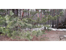 IMG 20200229 114603.jpg