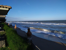 IMG 20200211 164459.jpg