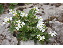 ������ ���������� �����.jpeg