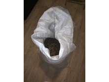 IMG 20200207 214234.jpg