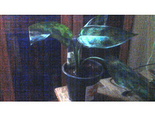 ��������� �����