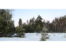 IMG 20200222 070834.jpg