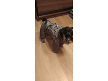 ����������� viber 2020-02-17 10-13-38.jpg