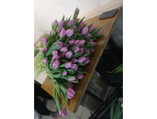 IMG 20190224 115948.jpg