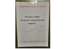 Screenshot 20200218 085452.jpg