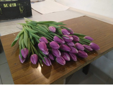 IMG 20190222 144503.jpg