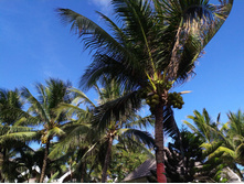 IMG 20200211 154316.jpg