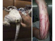 244917344-img 20200202 103301.jpg