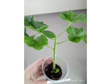 IMG 20200220 101712.jpg