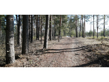 IMG 20200222 115936.jpg