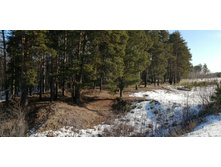 IMG 20200222 112139.jpg