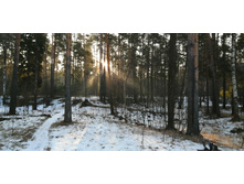 IMG 20200222 084334.jpg