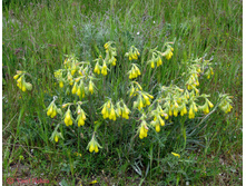 ������ �������.jpg