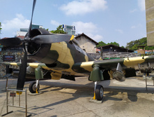 IMG 20200217 091331.jpg