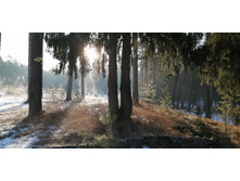 IMG 20200222 090134.jpg