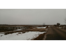 IMG 20200223 124316.jpg