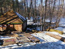 IMG 20200222 122218.jpg