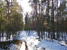 IMG 20200222 125156.jpg