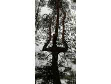 IMG 20200229 114218.jpg