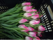 IMG 20190223 173824.jpg