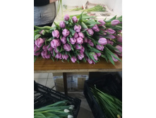 IMG 20190224 115906.jpg