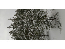 IMG 20200202 115455.jpg