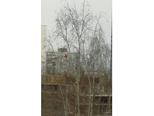 11 ������� 2020