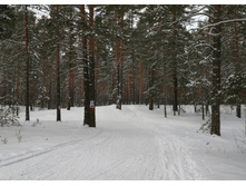 IMG 20200208 135457.jpg