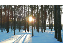 IMG 20200208 154249.jpg