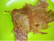 IMG 20200206 133457.jpg