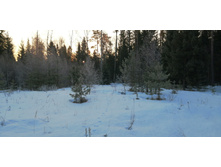 IMG 20200222 075216.jpg