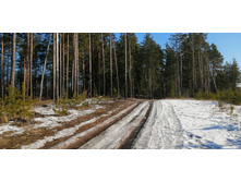 IMG 20200222 124318.jpg