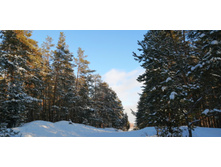 IMG 20200208 143947.jpg