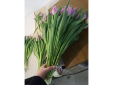 IMG 20190223 181107.jpg