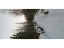 IMG 20200222 073000.jpg