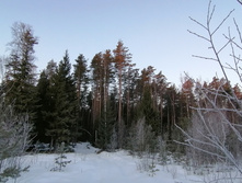 IMG 20200222 073747.jpg