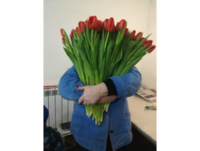 IMG 20190223 183823.jpg