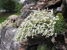 ���������� ������������� ��� ����.jpg