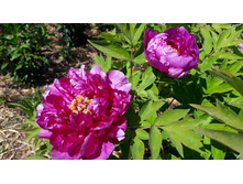 ���� ��.jpg