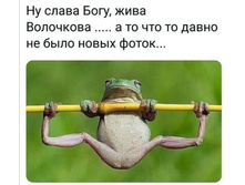 Screenshot 20200206 054259.jpg