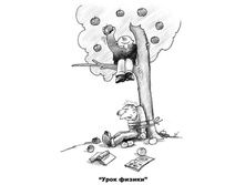 ���� ������